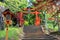 Gate to Chureito Pagoda, Arakura Sengen Shrine, in Japan