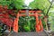 Gate to stairway of Chureito Pagoda, Arakura Sengen Shrine in Japan