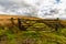 Gate and upland moorland