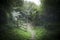 Gate woods woodland trail green trees