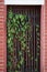Gated door way with vines