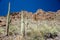 Gates Pass Tucson Arizona Saguaro Cactus