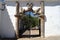 Gates to the gardens of the Ducal Palace, famous example of the Manueline architecture, Vila Vicosa, Portugal