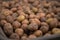 Gathering potato harvest in metal rural trolley cart on organic