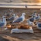 A gathering of seagulls stealing a beach picnic for a New Years Eve feast by the sea4