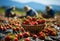 gathering strawberry harvest on plantation in farm