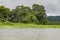 Gatun Lake, lush vegetation on shoreline, Panama