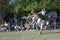 gaucho- cowboy-riding wild horse jumping jumping in a rodeo in argentina patron saint festival similar to uruguay chile-oct 2020