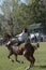 gaucho- cowboy-riding wild horse jumping jumping in a rodeo in argentina patron saint festival similar to uruguay chile-oct 2020