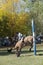 gaucho- cowboy-riding wild horse jumping jumping in a rodeo in argentina patron saint festival similar to uruguay chile-oct 2020