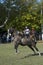 gaucho- cowboy-riding wild horse jumping jumping in a rodeo in argentina patron saint festival similar to uruguay chile-oct 2020