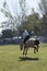 Gaucho cowboy Vaquero at a rodeo riding a horse at a show in Argentina