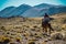 Gaucho on horseback in Patagonia, Argentina