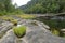 Gauley River, West Virginia.