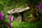 Gaulstown Portal Tomb in Ireland