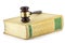 Gavel and book