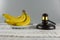 Gavel and bunch of bananas on wooden background. Lawsuit concept