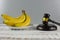 Gavel and bunch of bananas on wooden background. Lawsuit concept