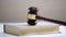 Gavel standing on book, law and order, legal education, court hearing, sentence