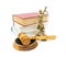 Gavel, the statue of justice and books on white background