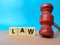 Gavel and toys word with word LAW