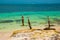 Gaviotas en el poste. Tropical Resort. Caribbean sea Jetty near Cancun. Mexico beach tropical in Caribbean