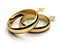Gay female wedding rings in 3D