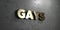 Gays - Gold sign mounted on glossy marble wall - 3D rendered royalty free stock illustration