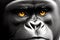 The gaze of a gorilla. Portrait of a monkey in close-up.