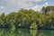 Gaze on a pond with water lily plants near a large river