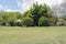 Gazebo Among Evergreen Trees