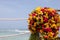 Gazebo. Flowers. Mexico. Ocean view. Caribbean gazebo