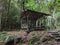 Gazebo in Indonesian Borneo Forest Tour