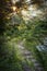 Gazebo in a Lush Garden