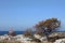 Gazebo near the sea