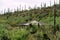 Gazebo in sabino national park in tuscon arizona on mission view trail in the hills of southwestern united states