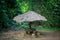 Gazebo with a thatched roof in the jungle