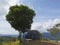 Gazebo under the big tree against blue sky background.