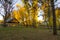 Gazebo under fall colored trees