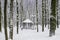 Gazebo in a wooded area a snowy winter in calm