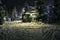 Gazebo, wooden house and Christmas trees in the snow at night. A trodden door leads to the gazebo. Lanterns and garlands