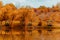 Gazebos and weeping willows on the lakeshore in  a clear sunny autumn day and their reflection in the lake