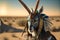 Gazelle animal portrait dressed as a warrior fighter or combatant soldier concept. Ai generated