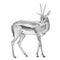 Gazelle antelope illustration, hand drawn gazelle deer