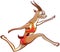 Gazelle performing a long jump