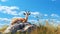 Gazelle Resting On Rock Naturalistic Bird Portraits And Realistic Wallpaper