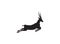 Gazelle silhouette jump black antelope. Ghazal run vector stand side view illustration isolated on white background