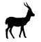 Gazelle vector illustration black silhouette