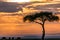 Gazelles Antelopes sunset grazing under the Lone Tree In The Savannah Grassland In The Maasai Mara National Game Reserve Park Rift