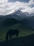 Gazing horse silhouette while on green grass hill with Kazbek 5054m mountain moody landscape near the village of Stepantsminda in